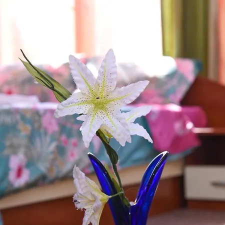 Homestay Comfortable